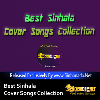 Best Sinhala Cover Songs Collection 2.mp3
