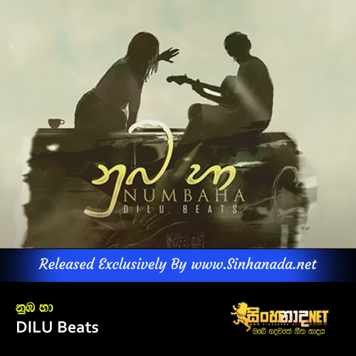Numba Ha - DILU Beats.mp3